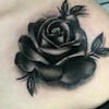 monicacastro238